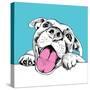 Portrait of a Cheerful Dog on a Blue Background. Vector Illustration.-Afishka-Stretched Canvas