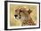 Portrait of a Cheetah-Martin Fowkes-Framed Giclee Print