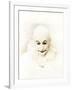 Portrait of a Clown-null-Framed Photo