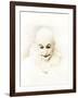 Portrait of a Clown-null-Framed Photo
