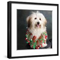Portrait of a Conton de Tulear dog-Panoramic Images-Framed Photographic Print