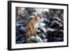 Portrait of a Cougar, Mountain Lion, Puma, Panther, Striking a Pose on a Fallen Tree, Winter Scene-null-Framed Photographic Print