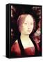 Portrait of a Dame-Leonardo da Vinci-Framed Stretched Canvas