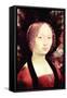 Portrait of a Dame-Leonardo da Vinci-Framed Stretched Canvas