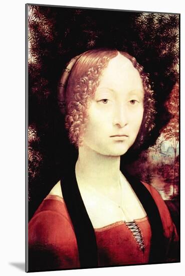 Portrait of a Dame-Leonardo da Vinci-Mounted Art Print