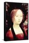 Portrait of a Dame-Leonardo da Vinci-Framed Stretched Canvas