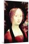 Portrait of a Dame-Leonardo da Vinci-Mounted Art Print