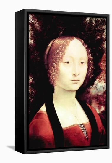 Portrait of a Dame-Leonardo da Vinci-Framed Stretched Canvas