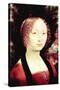 Portrait of a Dame-Leonardo da Vinci-Stretched Canvas