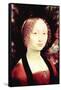 Portrait of a Dame-Leonardo da Vinci-Framed Stretched Canvas