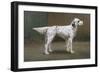 Portrait of a Dog, 1885-Charles Van Den Eycken-Framed Giclee Print