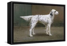 Portrait of a Dog, 1885-Charles Van Den Eycken-Framed Stretched Canvas