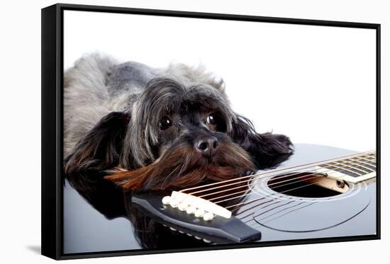 Portrait of A Dog with A Guitar-AZALIA-Framed Stretched Canvas