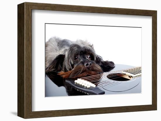Portrait of A Dog with A Guitar-AZALIA-Framed Photographic Print