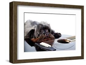 Portrait of A Dog with A Guitar-AZALIA-Framed Photographic Print