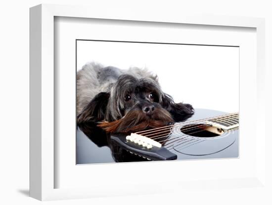 Portrait of A Dog with A Guitar-AZALIA-Framed Photographic Print