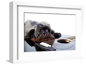 Portrait of A Dog with A Guitar-AZALIA-Framed Photographic Print