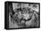 Portrait of a Family of Tuscan Tennat Farmers Sitting around Dinner Table-Alfred Eisenstaedt-Framed Stretched Canvas