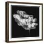 Portrait Of A Flower 1-Janet Slater-Framed Photographic Print