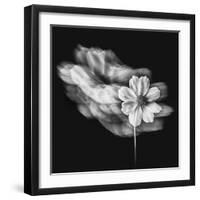 Portrait Of A Flower 1-Janet Slater-Framed Photographic Print