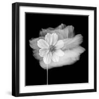 Portrait Of A Flower 2-Janet Slater-Framed Photographic Print