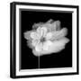 Portrait Of A Flower 2-Janet Slater-Framed Photographic Print