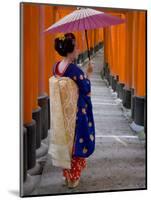 Portrait of a Geisha Holding an Ornate Umbrella at Fushimi-Inari Taisha Shrine, Honshu, Japan-Gavin Hellier-Mounted Photographic Print