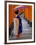 Portrait of a Geisha Holding an Ornate Umbrella at Fushimi-Inari Taisha Shrine, Honshu, Japan-Gavin Hellier-Framed Photographic Print