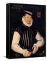 Portrait of a Gentleman, 1575-Cornelis Ketel-Framed Stretched Canvas