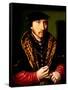 Portrait of a Gentleman, 16Th Century (Oil on Panel)-Ambrosius Benson-Framed Stretched Canvas