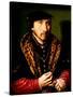 Portrait of a Gentleman, 16Th Century (Oil on Panel)-Ambrosius Benson-Stretched Canvas