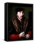 Portrait of a Gentleman, 16Th Century (Oil on Panel)-Ambrosius Benson-Framed Stretched Canvas