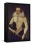 Portrait of a Gentleman, Aged 22, 1616-null-Framed Stretched Canvas