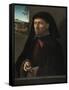 Portrait of a Gentleman, C.1505-Ridolfo Ghirlandaio-Framed Stretched Canvas