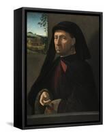 Portrait of a Gentleman, C.1505-Ridolfo Ghirlandaio-Framed Stretched Canvas