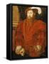Portrait of a Gentleman of the English Court, 1546-Hans Eworth-Framed Stretched Canvas