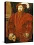 Portrait of a Gentleman of the English Court, 1546-Hans Eworth-Stretched Canvas