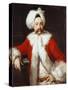 Portrait of a Gentleman Standing, Half-Length, in Oriental Costume-Andrea Soldi-Stretched Canvas