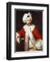 Portrait of a Gentleman Standing, Half-Length, in Oriental Costume-Andrea Soldi-Framed Giclee Print