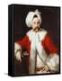 Portrait of a Gentleman Standing, Half-Length, in Oriental Costume-Andrea Soldi-Framed Stretched Canvas