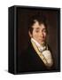 Portrait of a Gentleman-Louis Leopold Boilly-Framed Stretched Canvas