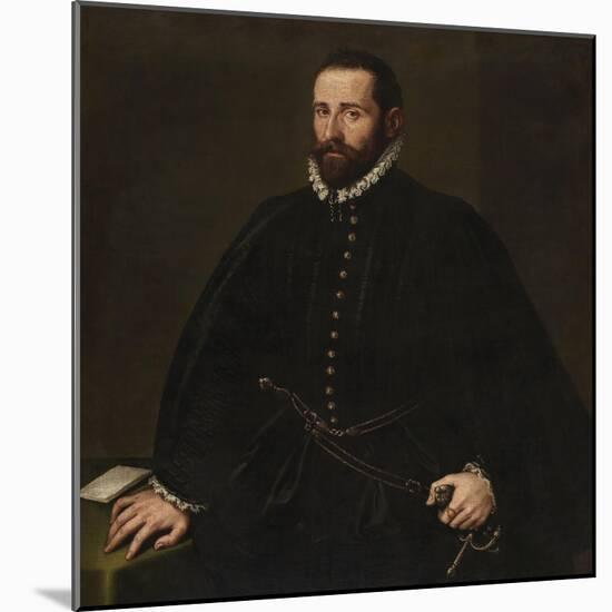Portrait of a Gentleman-Jacopo Robusti Tintoretto-Mounted Giclee Print