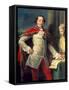 Portrait of a Gentleman-Pompeo Batoni-Framed Stretched Canvas