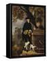 Portrait of a Gentleman-Thomas Gainsborough-Framed Stretched Canvas