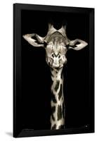 Portrait of a Giraffe-Trends International-Framed Poster