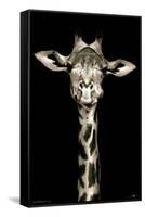 Portrait of a Giraffe-Trends International-Framed Stretched Canvas