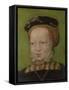 Portrait of a Girl, Ca 1545-Jakob Seisenegger-Framed Stretched Canvas