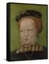 Portrait of a Girl, Ca 1545-Jakob Seisenegger-Framed Stretched Canvas