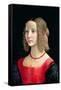 Portrait of a Girl, circa 1490-Domenico Ghirlandaio-Framed Stretched Canvas