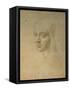 Portrait of a Girl-Leonardo da Vinci-Framed Stretched Canvas